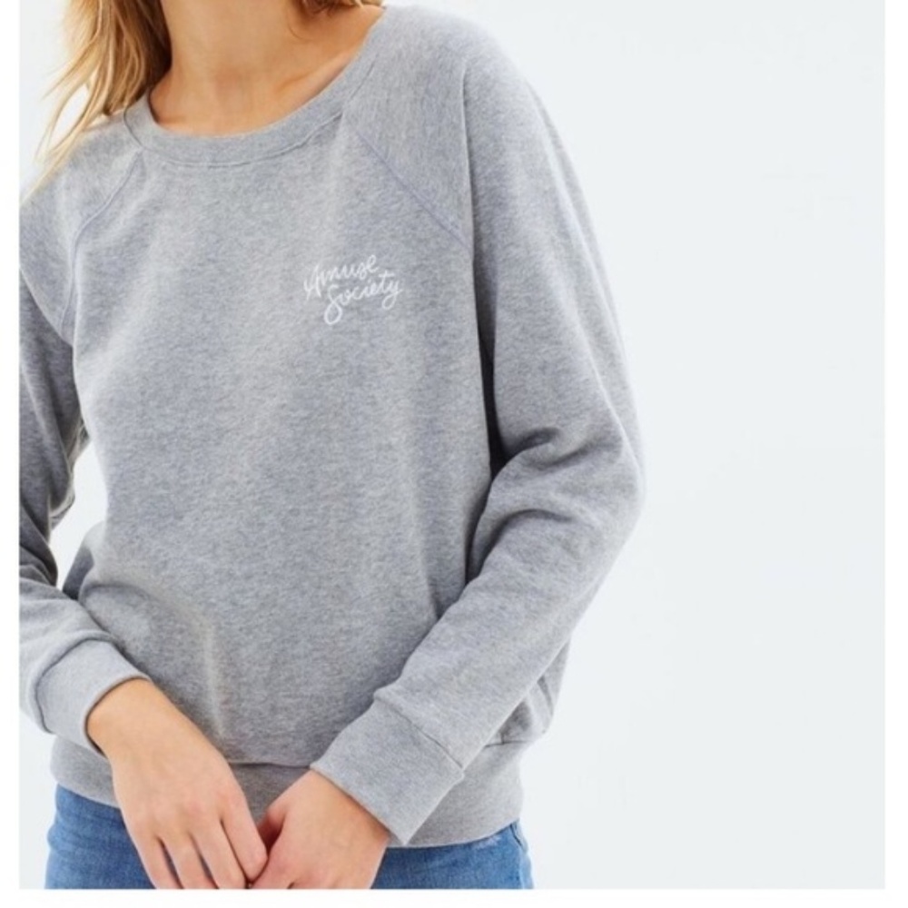 AMUSE SOCIETY | Gray Pullover Sweater Medium - Picture 1 of 8